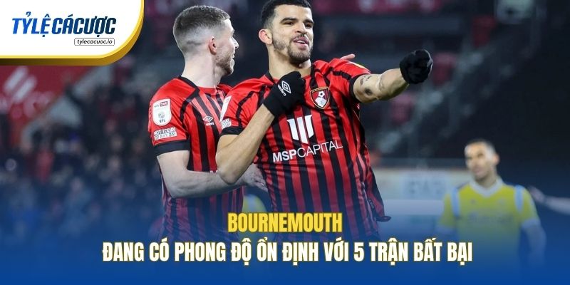 Bournemouth đang có phong độ ổn định với 5 trận bất bại