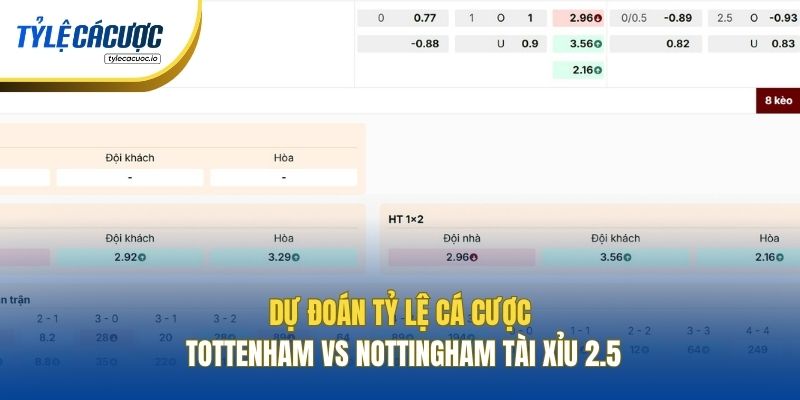 Dự đoán tỷ lệ cá cược Tottenham vs Nottingham Tài Xỉu 2.5