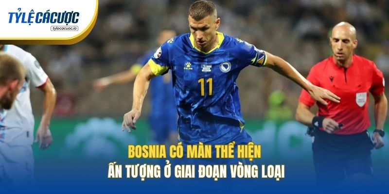Bosnia có màn thể hiện ấn tượng ở giai đoạn vòng loại
