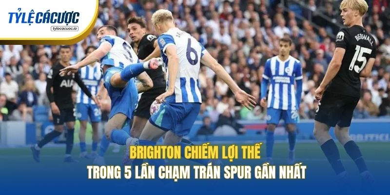 Brighton chiếm lợi thế trong 5 lần chạm trán Spur gần nhất