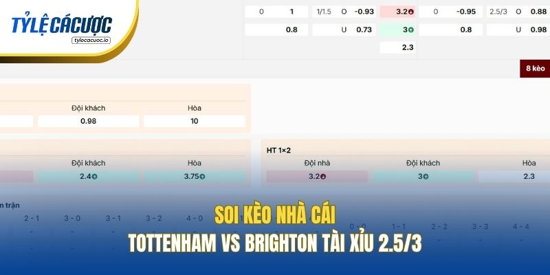 Soi kèo nhà cái Tottenham vs Brighton Tài Xỉu 2.5/3