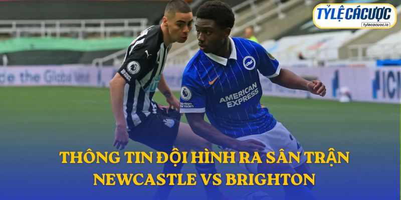 Thông tin đội hình ra sân trận Newcastle vs Brighton
