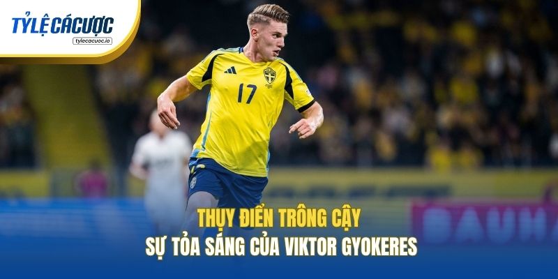 Thụy Điển trông cậy sự tỏa sáng của Viktor Gyokeres