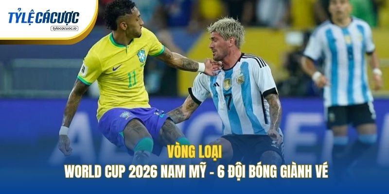 Vòng Loại World Cup 2026 Nam Mỹ - 6 Đội Bóng Giành Vé